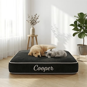 May include: A rectangular, dark gray corduroy pet bed with white piping and the name "Cooper" embroidered on the front. A golden retriever and a gray cat are sleeping on the bed. The bed is indoors, near a window.