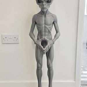May include: A standing grey alien figurine with a large, smooth, oval-shaped head, dark almond-shaped eyes, and a slender, muscular build. The figure has long arms with hands positioned together in front of the torso and long, thin feet.