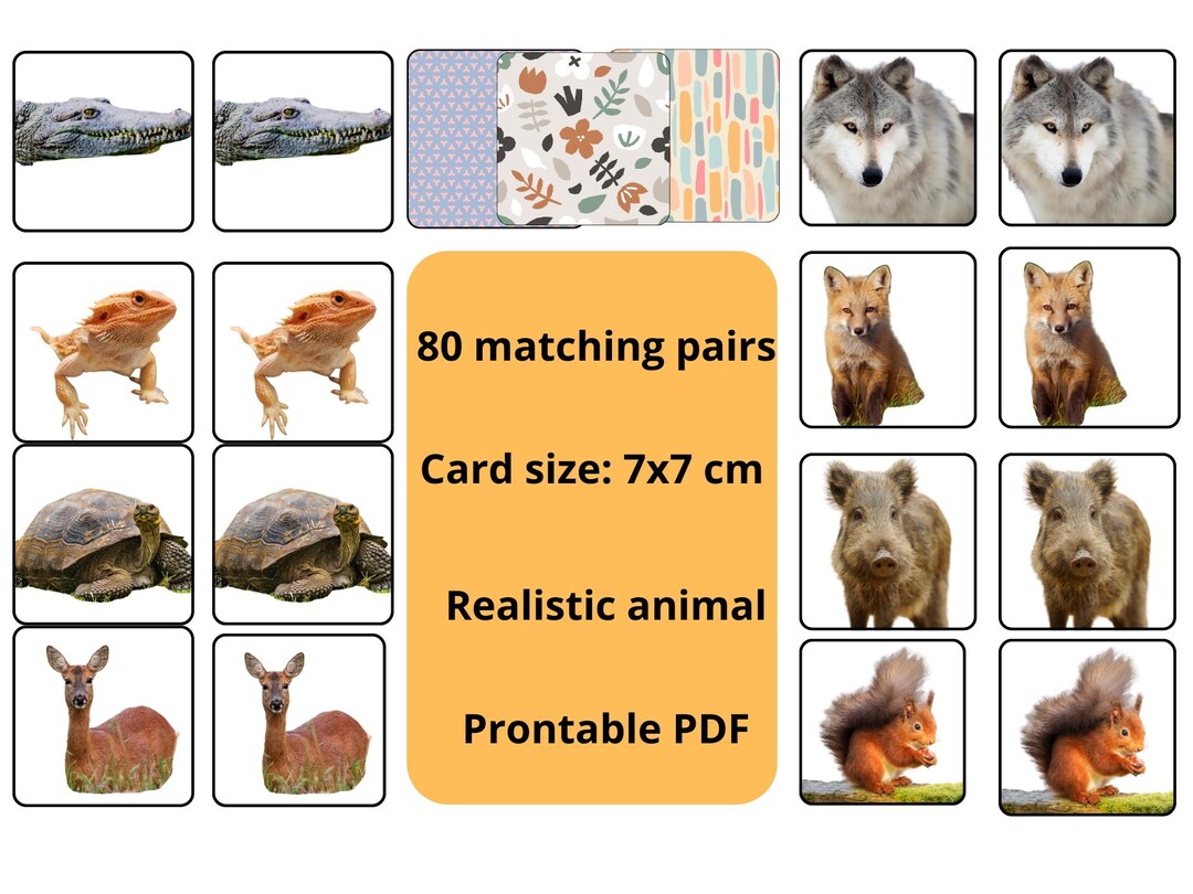 Realistic Animals Memory Game Cards | 80 Pairs Preschool Learning PDF ...