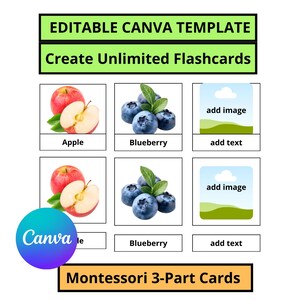 May include: A white graphic with the text "EDITABLE CANVA TEMPLATE" and "Create Unlimited Flashcards". The image includes illustrations of an apple and blueberries, with space to add images and text. The Canva logo is also present.