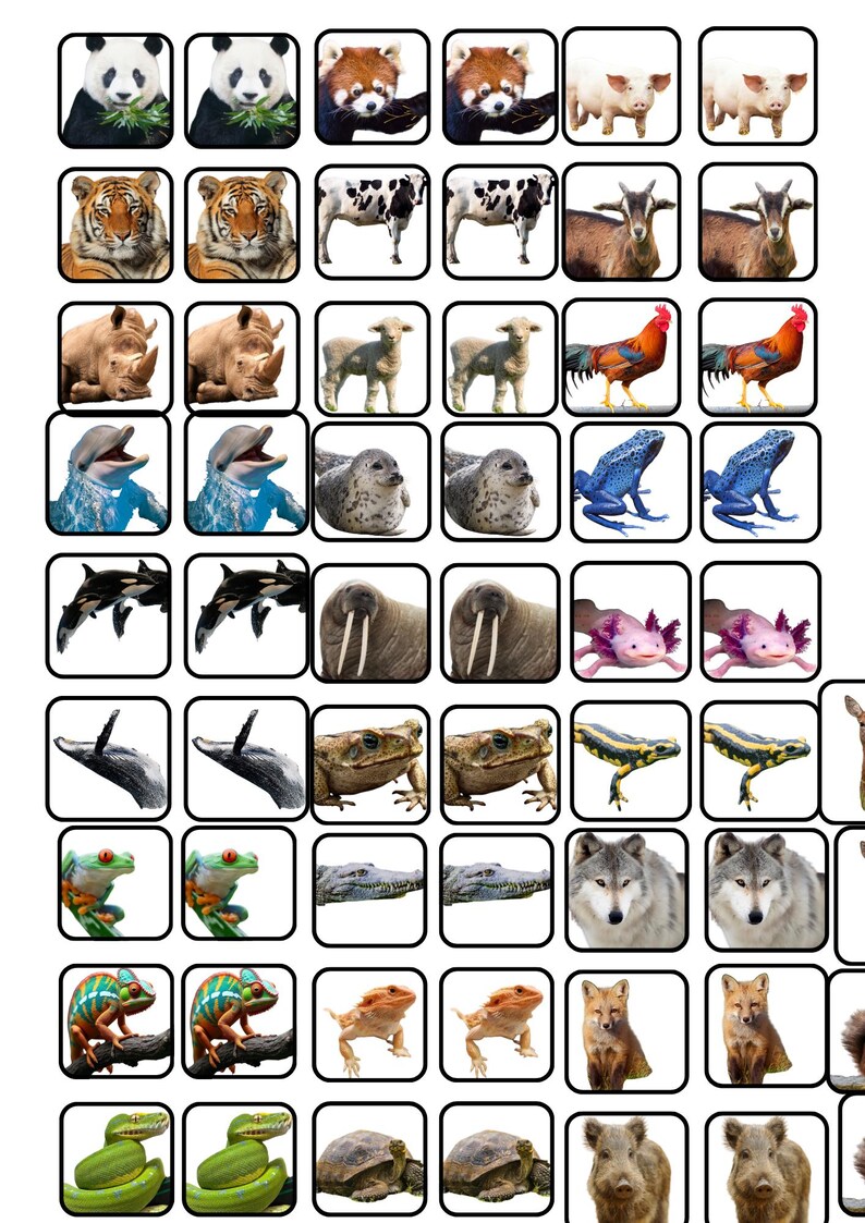 Realistic Animals Memory Game Cards | 80 Pairs Preschool Learning PDF ...