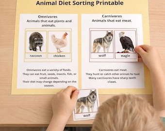 Dierlijk dieet sorteren activiteit Herbivoor Carnivoor alleseter Matching (pdf-download) afdrukbare kaarten