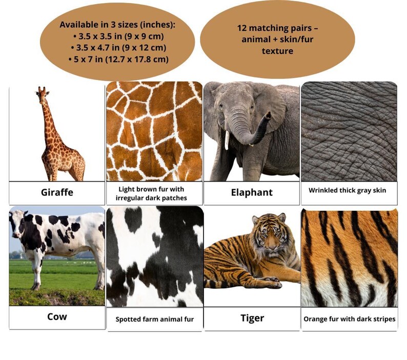 Animal Texture Matching Cards | Montessori Sensory Activity (digital ...