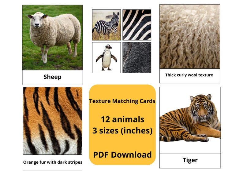 Animal Texture Matching Cards | Montessori Sensory Activity (digital ...