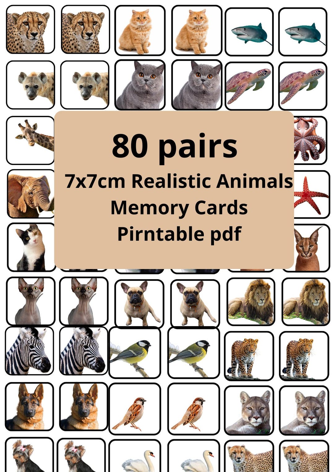 Realistic Animals Memory Game Cards | 80 Pairs Preschool Learning PDF ...