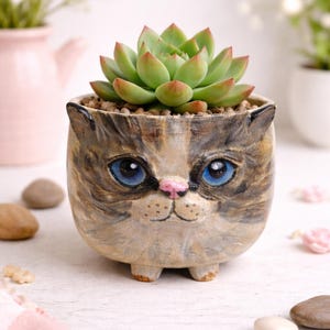 Personalized Ceramic Cat Planter
