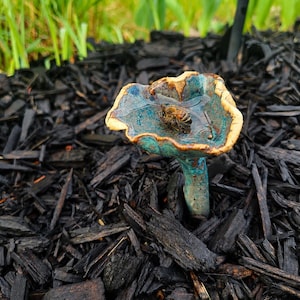 Op de afbeelding: Een paddenstoel met een blauw en gele hoed en een groene steel. Een bij rust op de hoed. De paddenstoel staat tegen een achtergrond van donkere houtsnippers en groen gras.