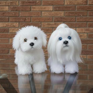 Peut inclure: Deux chiens en peluche blancs avec une fourrure duveteuse sont assis sur une surface en verre. L'un a les yeux marron, l'autre a les yeux bleus et de longs cheveux flottants attachés. L'arrière-plan est un mur de briques.