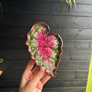 Puede incluir: Un plato de cerámica con forma de hoja de begonia y acabado brillante. La superficie presenta un patrón vibrante de manchas de color rosa intenso, verde brillante y blanco, con un borde rojo oscuro que sigue los bordes ondulados e irregulares.