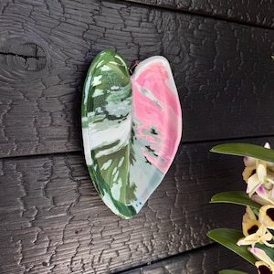 Puede incluir: Un plato de vidrio en forma de corazón con un patrón jaspeado de remolinos en verde bosque profundo, blanco y rosa suave. La superficie es lisa y brillante, con una clara separación de color entre el lado verde-blanco y el lado rosa sólido.