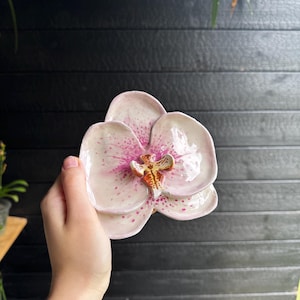 Peut inclure: Un plat en céramique en forme de fleur d'orchidée épanouie. Les pétales sont rose clair avec des taches rose foncé et un détail central aux accents jaunes, bruns et blancs. La surface présente une finition brillante et une forme organique.