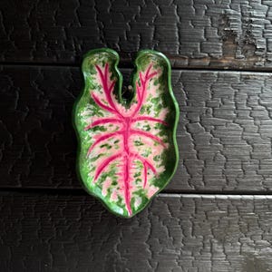 Può includere: Un piatto in ceramica a forma di foglia di caladio, caratterizzato da una vena centrale rosa brillante e venature ramificate, circondate da un motivo maculato nei toni del verde chiaro, bianco e verde scuro, con finitura lucida e bordo verde.