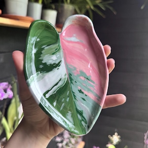 Può includere: Un piattino in ceramica a forma di foglia con finitura lucida. La superficie presenta un motivo variegato con sezioni distinte di verde bosco intenso, bianco crema e rosa pastello tenue, che imita l'aspetto di una foglia di pianta variegata.