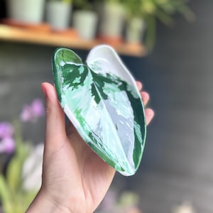 Op de afbeelding: Een keramieken schaaltje in de vorm van een bontgekleurd blad, voorzien van een glanzende afwerking met een gemarmerd patroon in diep bosgroen, licht mintgroen en crèmewit. Het schaaltje heeft een glad, gebogen oppervlak en een puntige vorm.