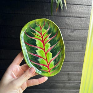 Può includere: Un piatto in ceramica ovale con un disegno dipinto a mano di una foglia verde con macchie verde scuro e venature rosse vivaci. La superficie ha una finitura lucida e i bordi del piatto sono leggermente irregolari nella forma.
