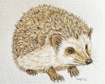 Pintura de erizo europeo, ilustración de bosque, acuarela y tinta de animales de 5x7 pulgadas.