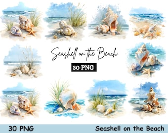 Lot de 30 images clipart aquarelle de coquillages sur la plage | Coquillages d'été, océan | Téléchargement numérique PNG