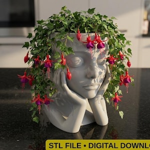 Face Planter 3D STL File | Female Head Bust Vase | Boho Succulent Pot | Digital Download
