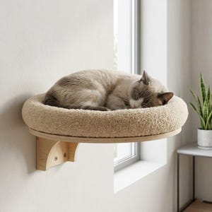 Puede incluir: Un gato dormido descansa sobre una cama redonda para gatos de color beige, montada en un estante de madera. La cama para gatos tiene una textura suave y afelpada. El estante está fijado a una pared blanca cerca de una ventana.
