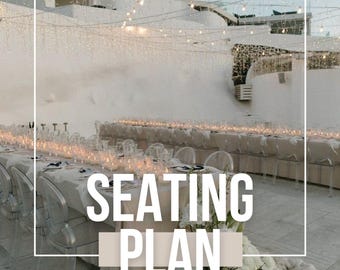 Wedding Seating Plan Template: Reception Layout, Guest List, Meal Tracker (Printable PDF)