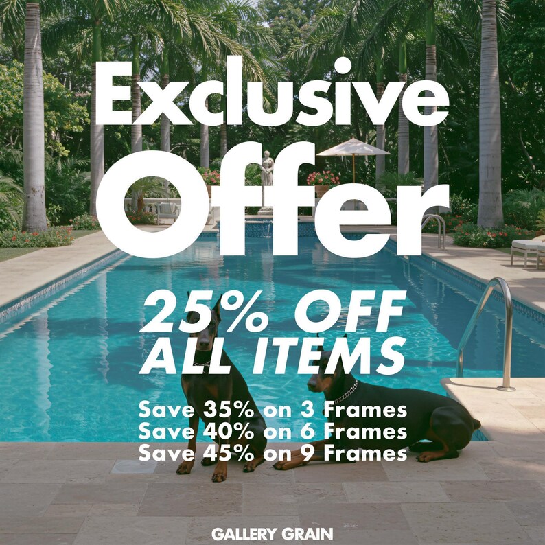The image is an advertisement for a poolside sale, featuring a large pool surrounded by palm trees and a dog sitting by the pool. The text announces an exclusive offer with 25% off on all items, including 3-frame and 6-frame purchases, and 45% off on 9-frame purchases.