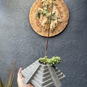 May include: A gray concrete pyramid-shaped planter with a succulent plant and an incense stick. The planter is held in a hand, with a decorative circular wall hanging in the background. The wall is painted a textured gray.