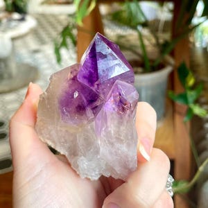 May include: A hand holding a raw amethyst crystal cluster. The crystal has a deep purple, faceted point on a base of pale lavender and clear quartz. The background includes lush green plants and a glimpse of a decorative interior.