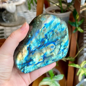 May include: A polished labradorite stone, displaying iridescent blue, green, and gold hues. The stone is held in a hand, revealing its smooth, rounded form and natural patterns. The background features plants and wooden furniture.