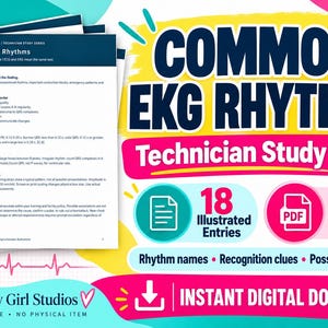 May include: An 11-page PDF study guide titled Common EKG Rhythms by Phlebotomy Girl Studios. The document features 18 illustrated entries, rhythm names, recognition clues, and possible meanings for EKG analysis in a digital download format.