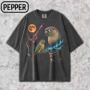 May include: A charcoal gray short-sleeve t-shirt featuring a graphic print of two green-cheeked conures, a bright orange moon, a colorful nebula, and a glowing blue aurora borealis over a mountain landscape. The word PEPPER is printed in the corner.