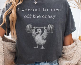 Serious Goose Workout Pump Cover, Weightlifting Gift for Gym Rat, Lift Weights Sweatshirt, Gym Shirt, Deadlift Shirt, Fitness Sweatshirt