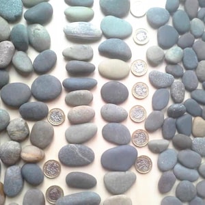 Puede incluir: Un surtido de piedras de río lisas, grises y beiges de varios tamaños, dispuestas con varias monedas. Las piedras varían en color de gris claro a gris oscuro y beige. Las monedas son de color dorado.
