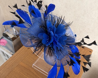 Koningsblauwe tovenaar met zwarte veren