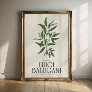 Può includere: Una stampa botanica incorniciata con un'illustrazione dettagliata di una pianta con foglie verdi e piccoli fiori bianchi. La stampa include il testo "Salix Subserrata" e "Luigi Balugani" in stile vintage, su sfondo crema.