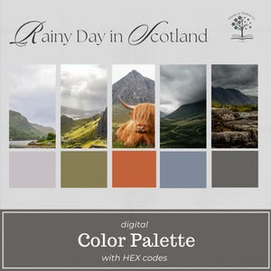 May include: A digital color palette titled "Rainy Day in Scotland" with HEX codes. The image features five landscape photos of Scotland, including a Highland cow, and a color swatch for each photo. The palette is framed by a gray border.