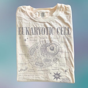 May include: A folded cream-coloured t-shirt displaying a diagram of a eukaryotic cell, with labels such as 'Lysosome' and 'Nucleus'. The shirt has the text 'EUKARYOTIC CELL' and 'FIG. 5. EUKARYOTIC CELL' printed in grey. The shirt is made of cotton.