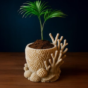 May include: A cream-coloured ceramic planter with a brain coral design, holding a small green plant. The planter is surrounded by coral-shaped accents, creating a unique and decorative look. The plant is in brown soil.