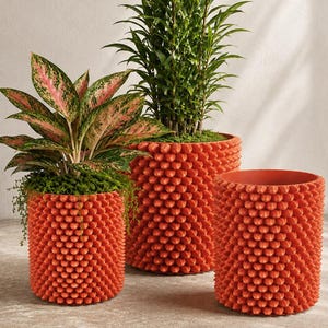 May include: Three cylindrical plant pots in a vibrant orange hue, each featuring a textured exterior with numerous small, raised, pointed protrusions. Two of the pots contain green plants, while one pot remains empty, showcasing the uniform, spiky design.