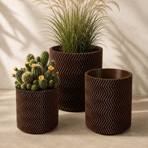 May include: Three cylindrical dark brown planters featuring a textured chevron pattern. One planter holds a green cactus with small yellow flowers, another contains tall ornamental grass, and the third planter remains empty.