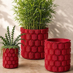 May include: Three cylindrical plant pots in a vibrant red colour, each featuring a textured exterior with a repeating vertical ribbed hexagonal pattern. One large pot contains a tall green bamboo plant, while a smaller pot holds a trailing succulent.