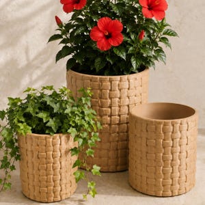May include: Three cylindrical plant pots with a textured, woven-look exterior in a light tan color. One pot contains a vibrant red hibiscus plant, another holds a trailing green ivy plant, and the third pot is empty and sits to the right.