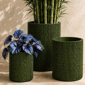 May include: Three cylindrical planters in a deep olive green hue, each featuring a vertical textured pattern of small, repeating rectangular segments. One planter holds a leafy plant with dark blue foliage, while another contains bamboo.