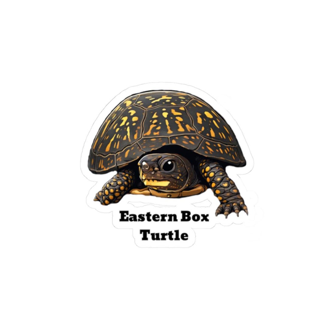 Eastern Box Turtle Vinyl Sticker, Waterproof Animal Decal, Reptile ...