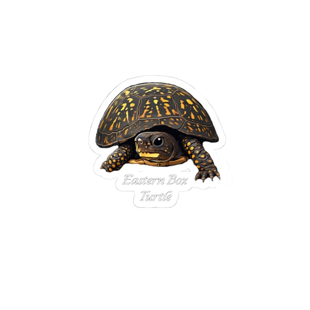 Eastern Box Turtle Sticker | Reptile Lover Decal for Laptops, Water ...
