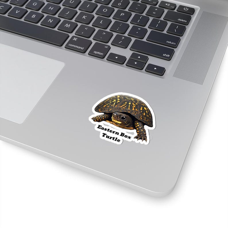 Eastern Box Turtle Vinyl Sticker, Waterproof Animal Decal, Reptile ...
