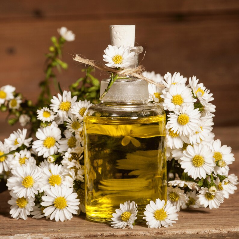 May include: A clear glass bottle filled with yellow liquid, adorned with white daisy flowers. The bottle has a white stopper and is tied with twine. The daisies have yellow centers and are arranged around the bottle on a wooden surface.
