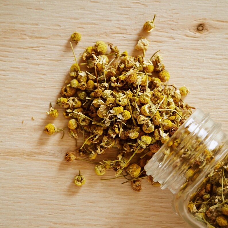 May include: Dried chamomile flowers spilling from a clear glass jar onto a light wooden surface. The flowers are yellow and brown, with small, round heads and delicate stems. The image is a top-down view.