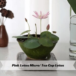 May include: A set of three ceramic mugs with a speckled, matte finish. The mugs are in shades of cream, light gray, and dark gray. Each mug has a simple, minimalist design and a rounded handle.