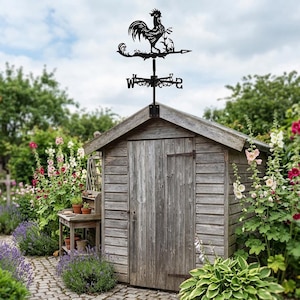 Può includere: Una banderuola a forma di gallo in metallo nero sopra un capanno di legno stagionato. La banderuola presenta una silhouette dettagliata di un gallo con indicatori direzionali. Il capanno è circondato da un rigoglioso giardino con fiori colorati e vegetazione.