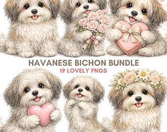Havanese PNG Clipart Bundle | Watercolor Bichon Puppy Floral Elements | 19 Files 300 DPI | Commercial Use